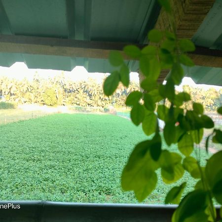 Ocean Sparrow Beach Stay Gokarna  Szoba fotó