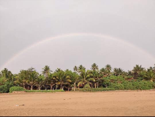 Ocean Sparrow Beach Stay Gokarna  Szoba fotó