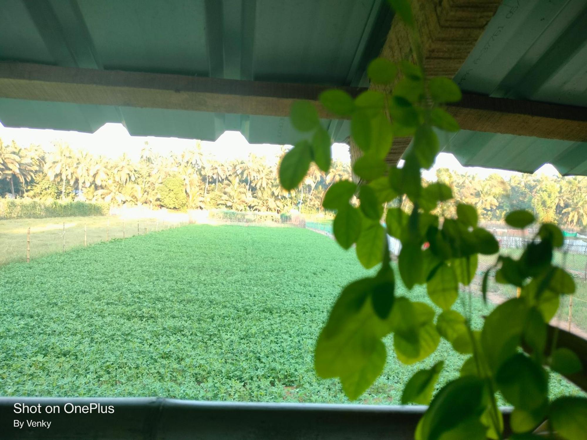 Ocean Sparrow Beach Stay Gokarna  Szoba fotó